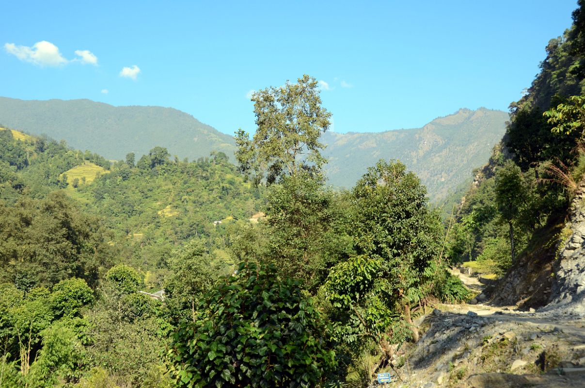 Nayapul To Ghorepani 06 Trail Between Birethanti and Matathanti 